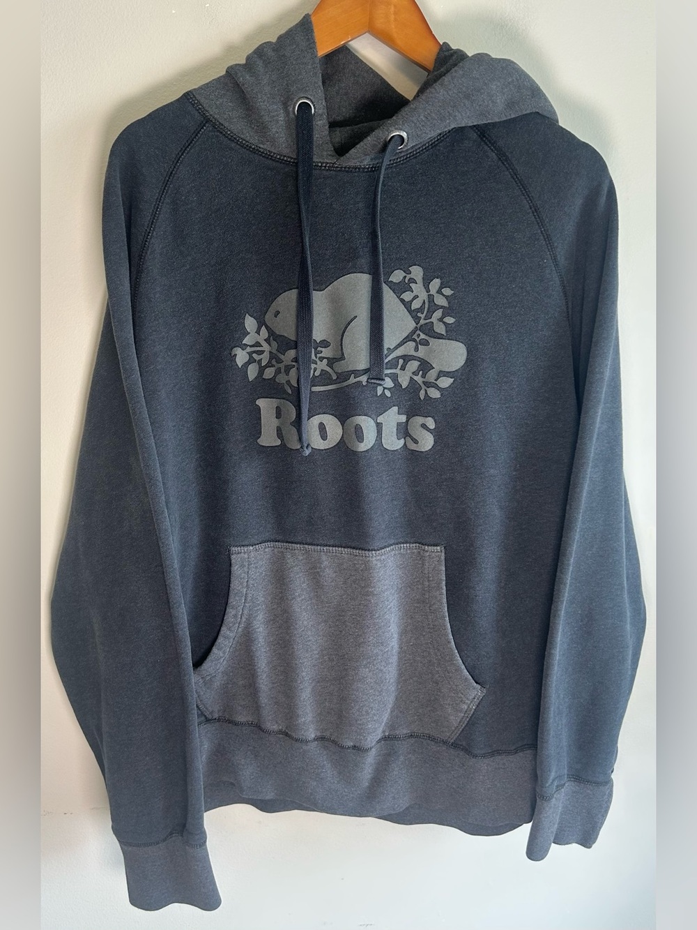 Roots Canada Men’s Beaver Logo Hoodie Sweater XL Blue Gray Color Block VTG Y2K